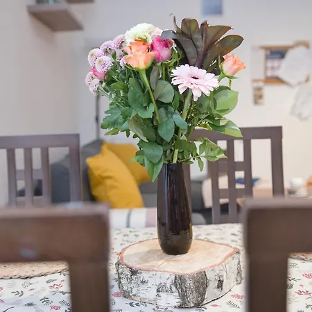 Svoboda nad Úpou Apartman Pod Cernou Horou מראה חיצוני תמונה