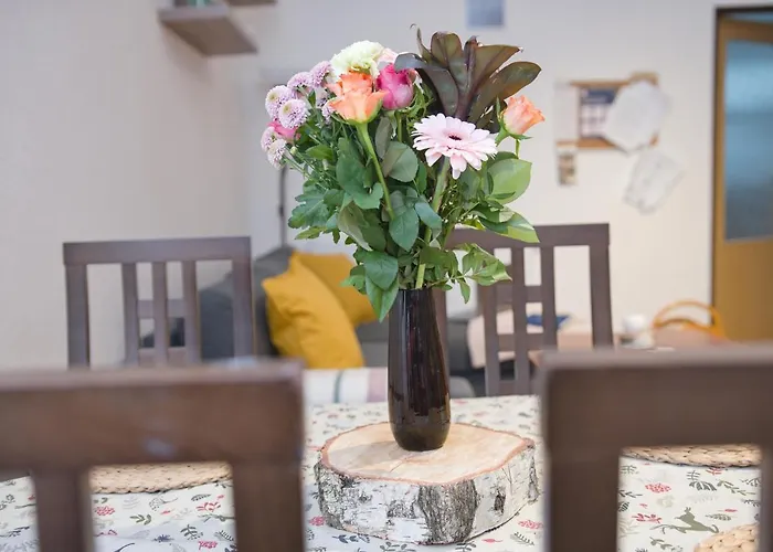 Apartman Pod Cernou Horou
